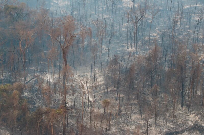 Brasil tem 1,2 mil focos de incêndios; Maranhão lidera