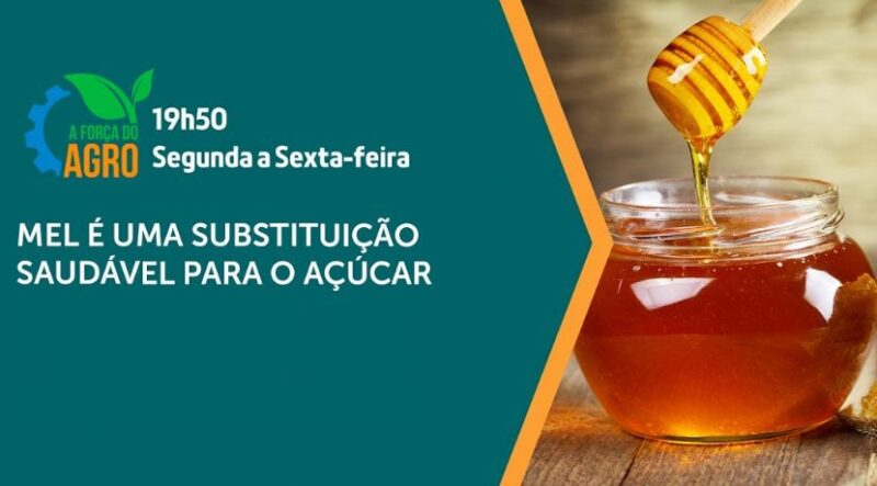 A Força do Agro #338: assista ao programa de 25/10/2024