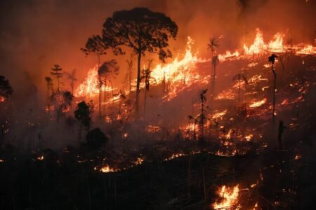 Dos 1,5 mil focos de incêndio, quase 60% estão na Amazônia