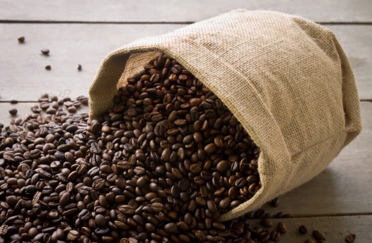 Brasil exporta 4,9 milhões de sacas de café em outubro