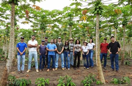 Estudantes de agronomia de MG conhecem fruticultura capixaba