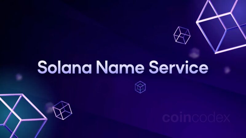 Solana Name Service: como criar seu próprio domínio .SOL