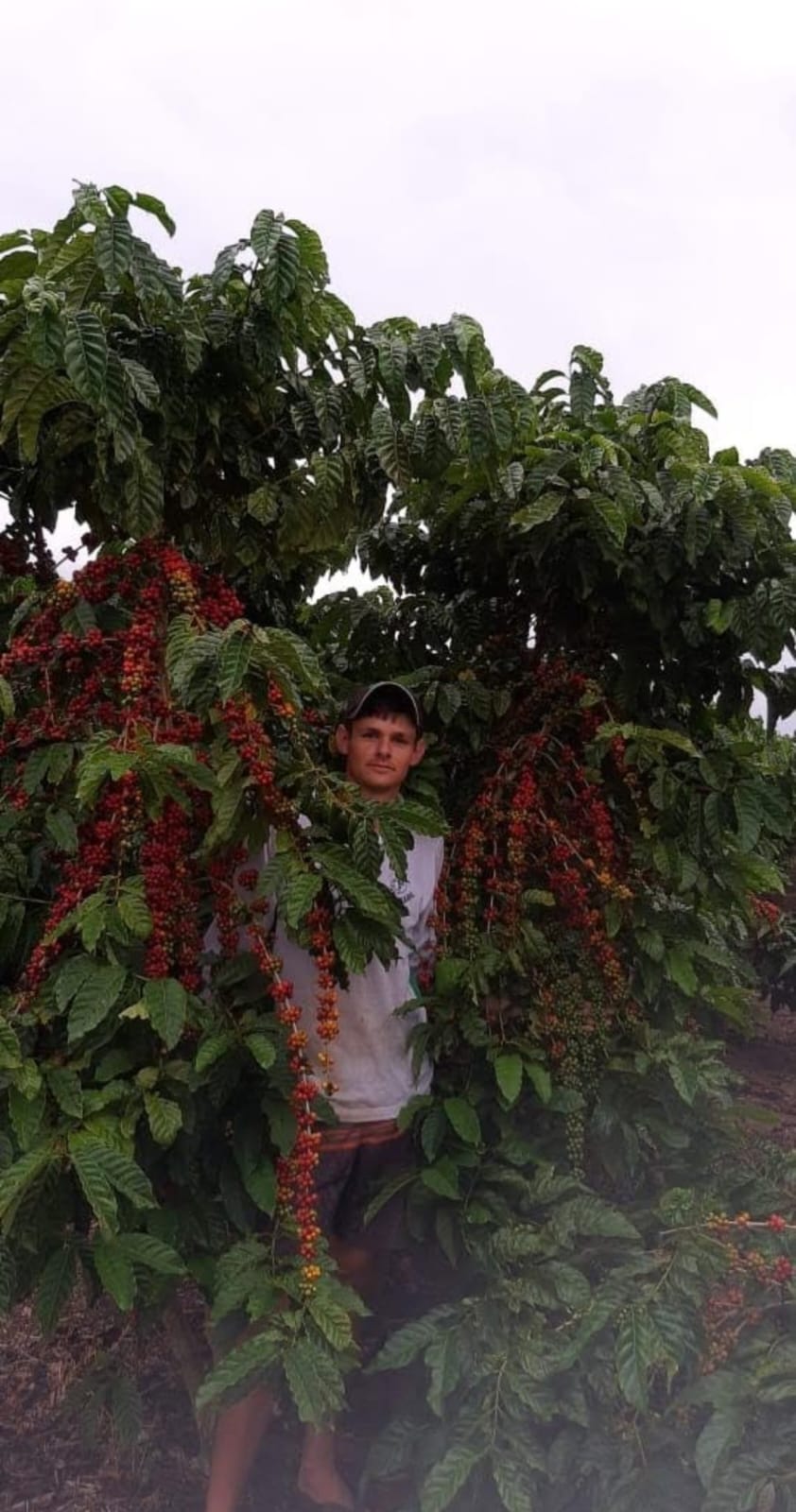 A Fazenda Florestas e Texas, em São Mateus (ES) | Foto: Reprodução/Acervo pessoal