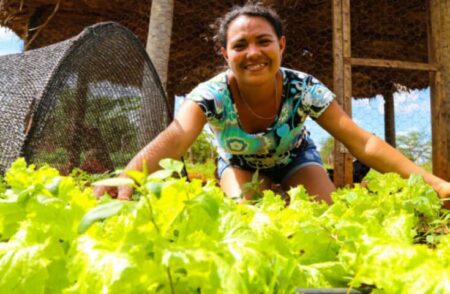 Agricultores familiares fortalecem sistemas orgânicos