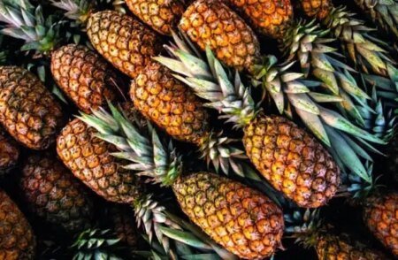 ES obtém patente para purificação de bromelina com resíduos do abacaxi