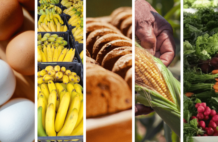 Inscrição para fornecer produtos para merenda termina na segunda, 20