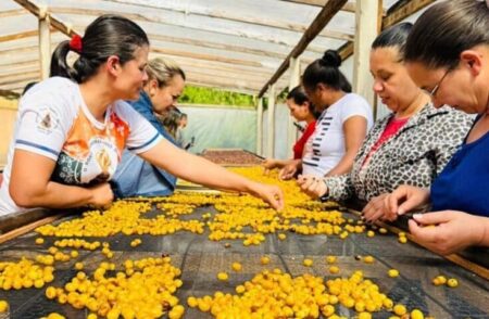 Mulheres do Café promoveu ações em 22 municípios capixabas em 2024