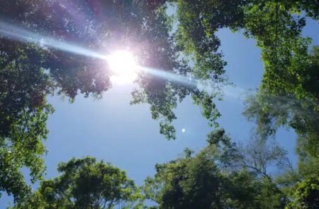 Chuva, calor? Confira a previsão do tempo para fevereiro com La Niña