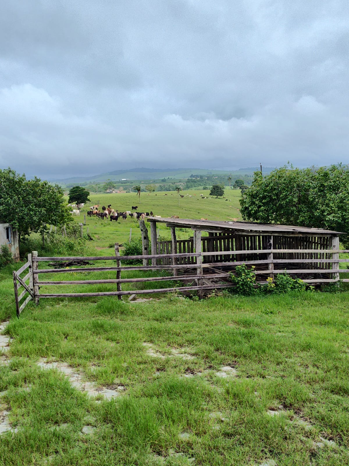 A Fazenda Florestas e Texas, em São Mateus (ES) | Foto: Reprodução/Acervo pessoal