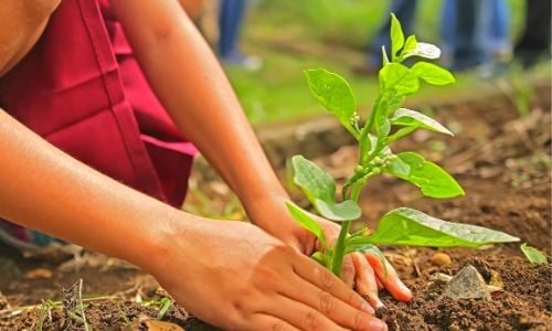 meio-ambiente - ações - ricardo salles - produtor rural