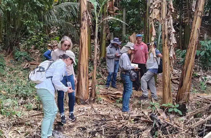 Embrapa integra missão técnica no ES para enfrentar febre do Oropouche