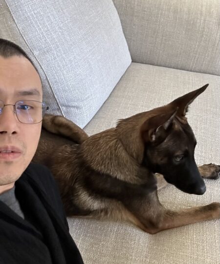 "Sniper" ganha R$ 170 milhões com memecoin do cachorro do fundador da Binance