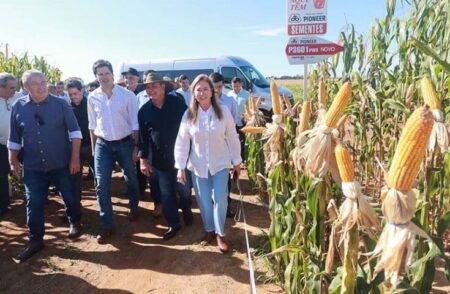 Vale do Araguaia: a nova fronteira agrícola de Goiás