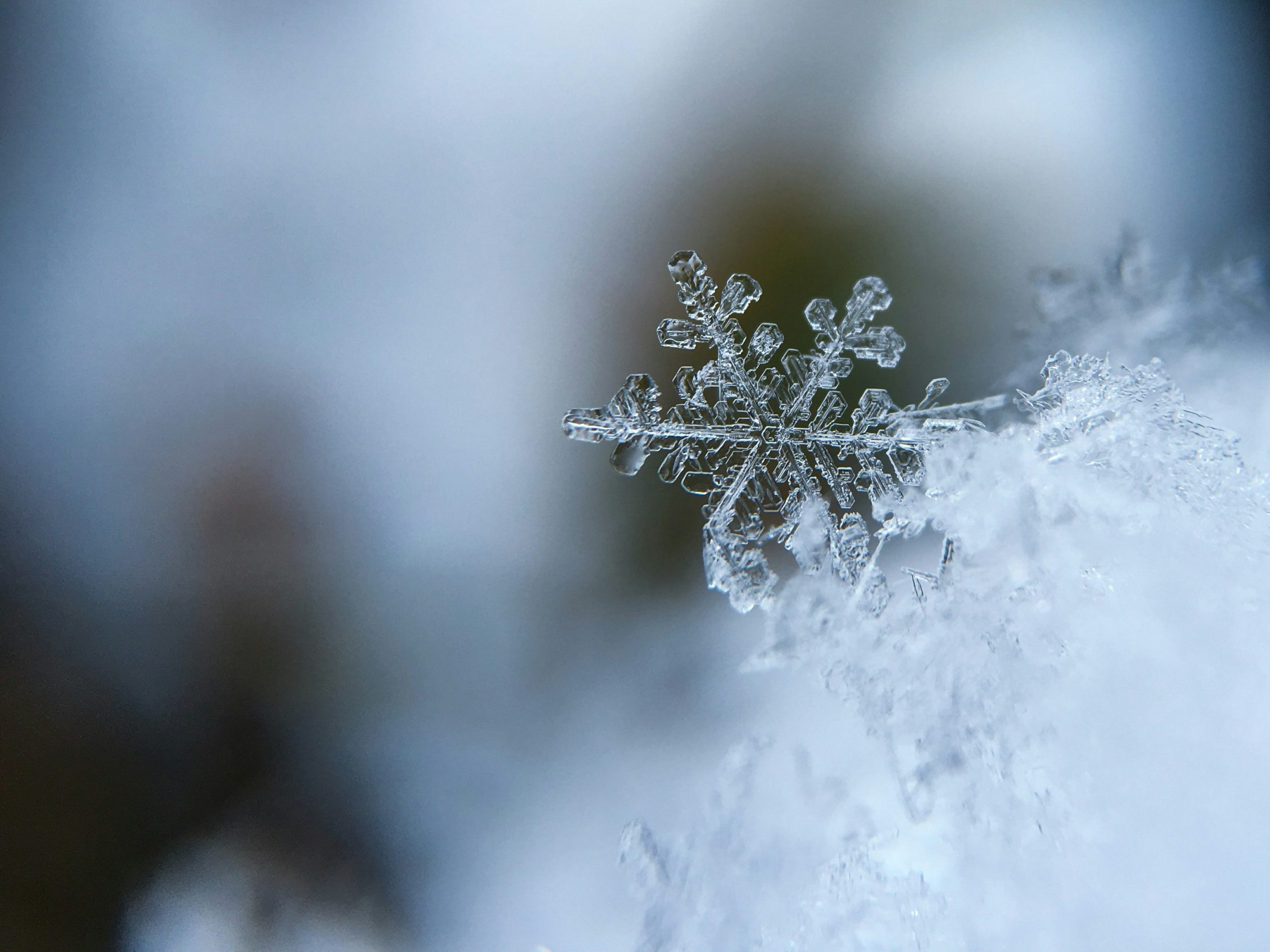 Frio aumenta em várias capitais do Brasil neste fim de semana | Foto: Aaron Burden/Unsplash