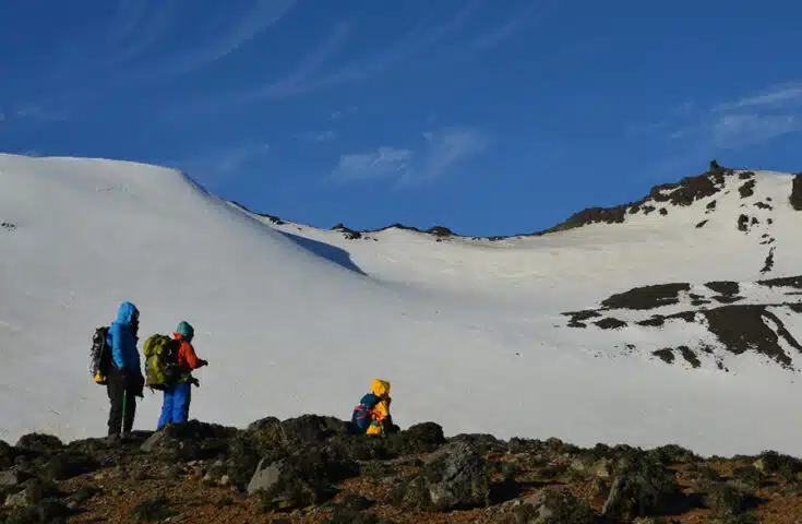 Fungo da Antártica pode levar a novo biopesticida natural