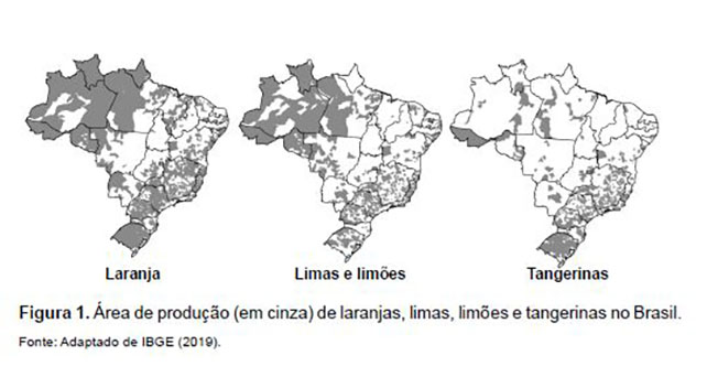 1742407564 263 Greening muda o mapa da citricultura no Brasil Noticias No