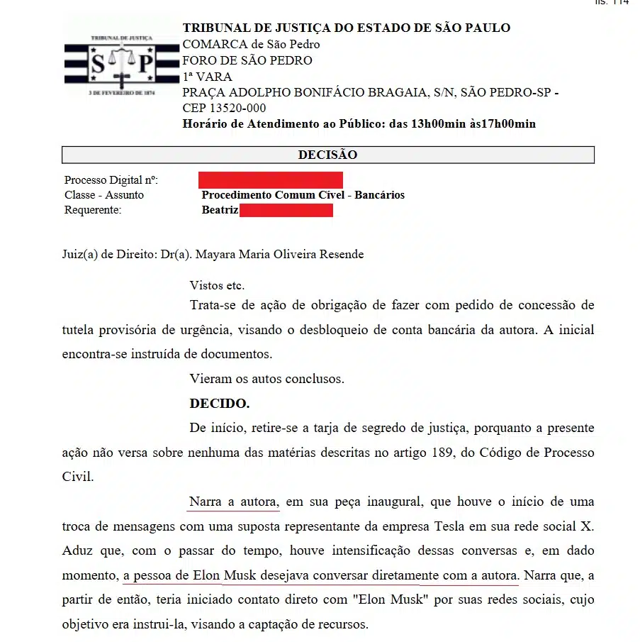 Brasileira acreditava que conversava com Elon Musk, que lhe ajudaria a comprar criptomoedas