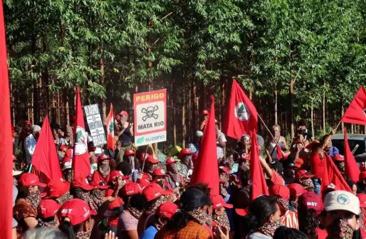 Mulheres Sem Terra ocupam área da Suzano em Aracruz, no Espírito Santo