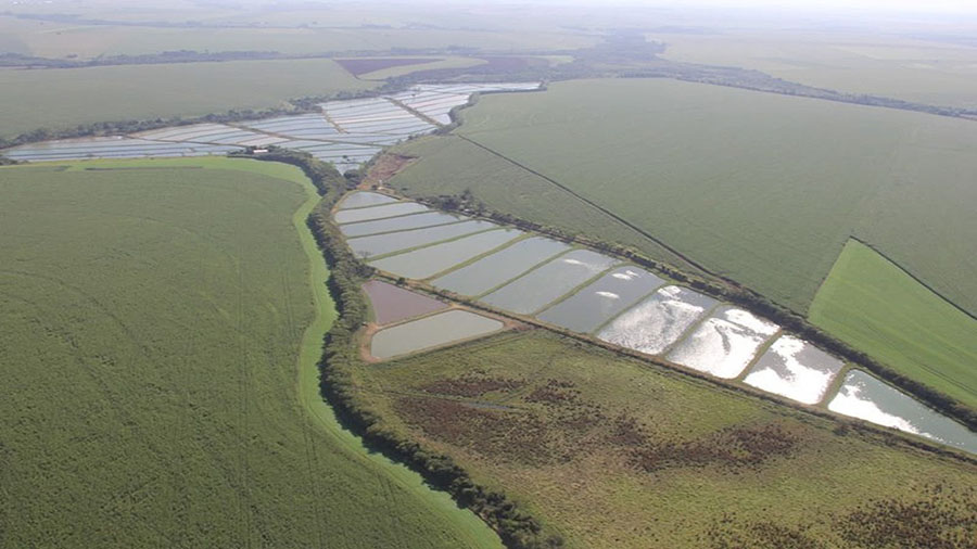 Tecnologia acelera mapeamento de viveiros escavados no Brasil Noticias No