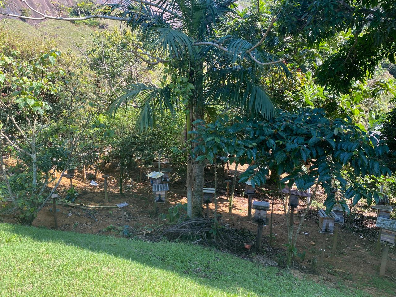 1747244692 911 Etapa da COP30 na Capital capixaba tera o agro no