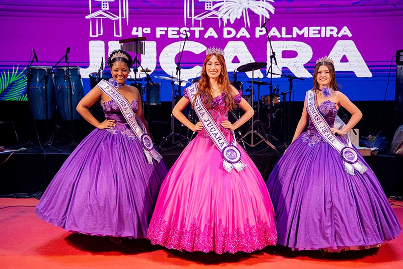 Juçara: o sabor da floresta que fez brotar uma festa! Noticias No BR 4 Festa da juçara
