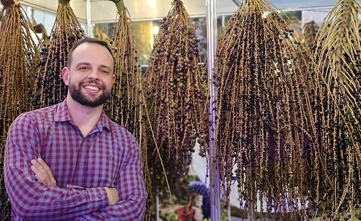 Juçara: o sabor da floresta que fez brotar uma festa!
