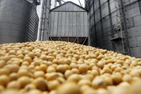 Biocombustíveis no Brasil não reduzem produção de alimentos, afirma estudo