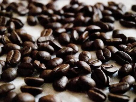 Consumo de café despenca no Brasil devido à alta de preços e mudança nos hábitos