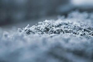 Geadas e temperaturas de até 3°C marcam o sábado no Brasil