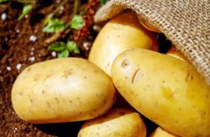 Nova entidade busca impulsionar o consumo de batata no Brasil