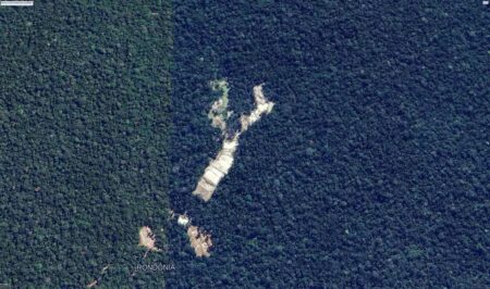Polícia Federal combate garimpo ilegal dentro de terra indígena