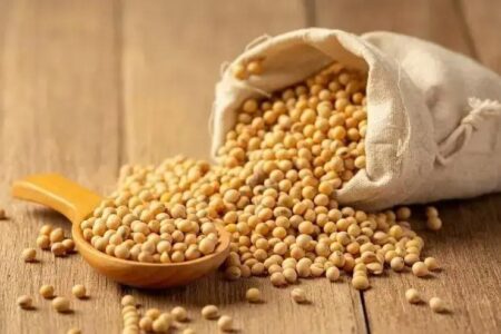 Prejuízo de R$10 bilhões causado pela soja pirata afeta setor agrícola