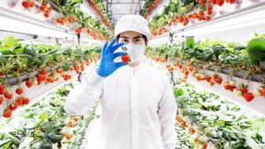 Tecnologia Inovadora Transforma o Agronegócio e a Agroindústria
