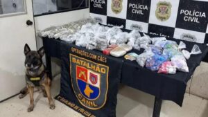 Cão policial encontra drogas ocultas em parede falsa de casa abandonada em SP