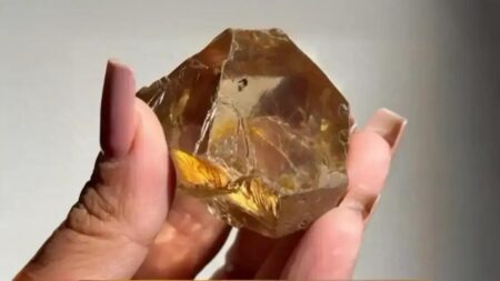 Descoberto diamante de 647 quilates reforça potencial de Coromandel