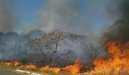 Incêndios no Brasil caem 32,6% em maio de 2025, mas riscos ainda existem