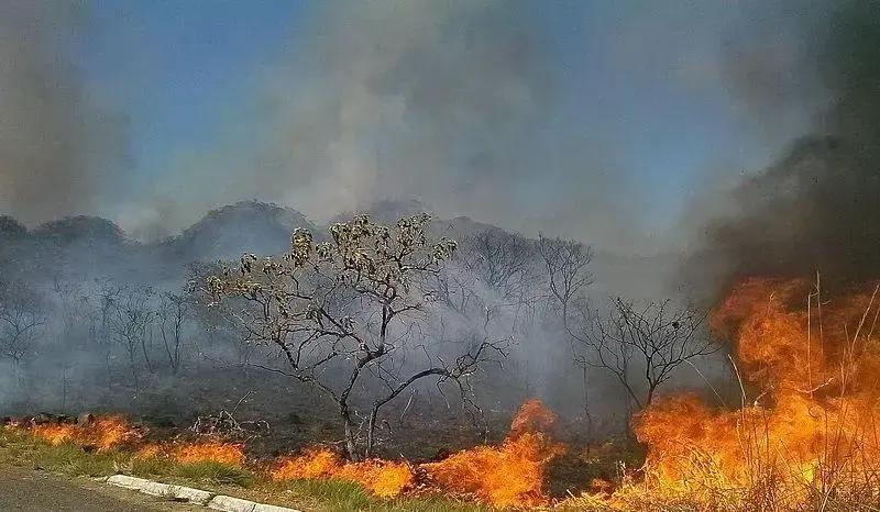 Incêndios no Brasil caem 32,6% em maio de 2025, mas riscos ainda existem