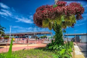 Polêmica na COP30: Estruturas suspensas e o debate sobre sustentabilidade