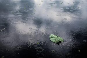 Previsões de junho: clima irregular e impacto no agronegócio brasileiro