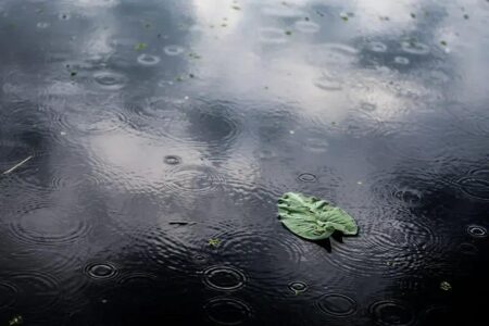Previsões de junho: clima irregular e impacto no agronegócio brasileiro