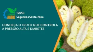 Soberania e economia: o papel do agronegócio na segurança do Brasil