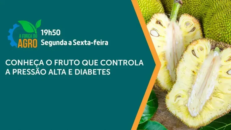 Soberania e economia: o papel do agronegócio na segurança do Brasil