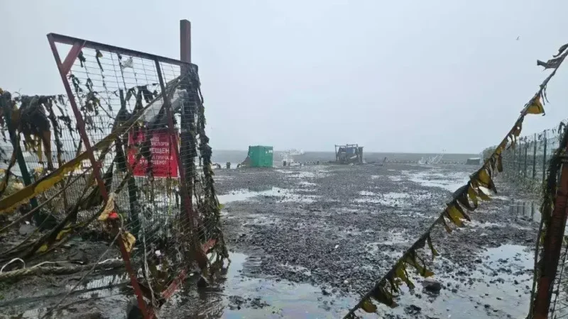 Ondas de tsunami alcançam a costa dos EUA após terremoto no Pacífico