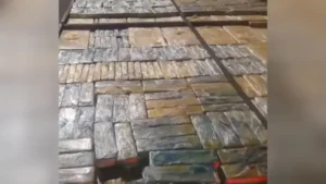 Reincidente é preso com quase 3 toneladas de maconha em SP