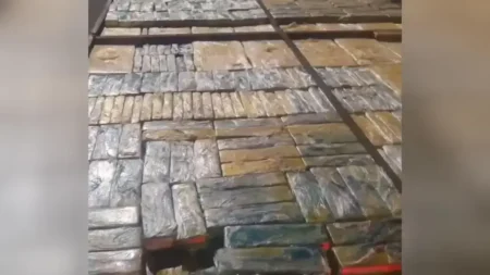 Reincidente é preso com quase 3 toneladas de maconha em SP
