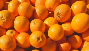Setor de suco de laranja prevê prejuízo de 30% por tarifas dos EUA