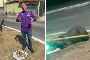 Capivaras causam confusão e vandalismo em Barra Mansa (RJ)