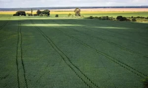 CNA responde acusações dos EUA sobre práticas no agro brasileiro