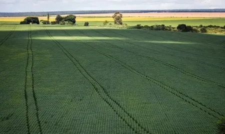 CNA responde acusações dos EUA sobre práticas no agro brasileiro
