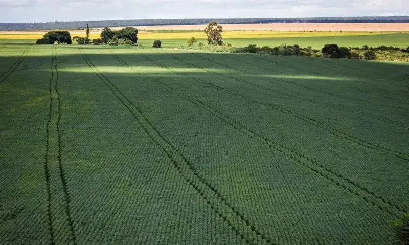 CNA responde acusações dos EUA sobre práticas no agro brasileiro